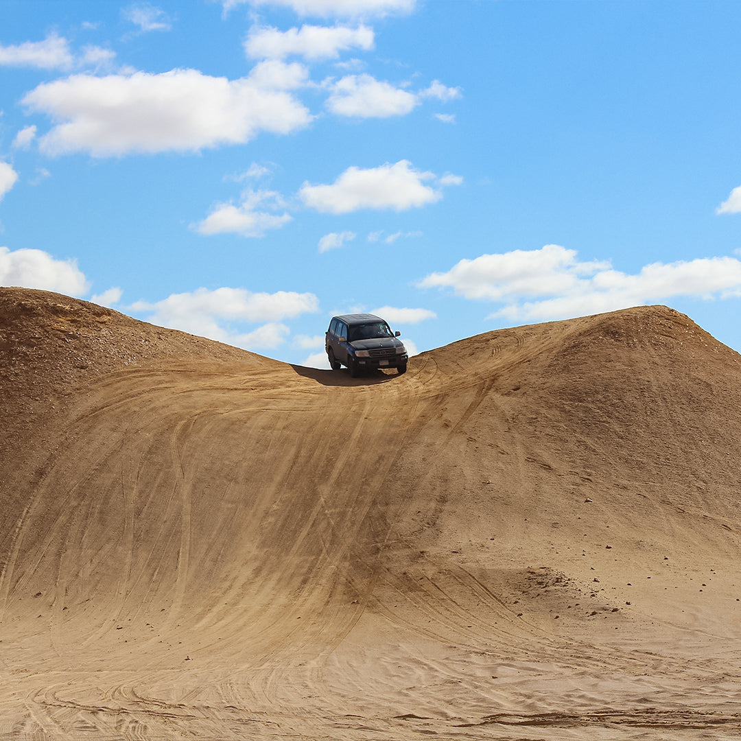 Wadi Al Hitan Day Tour