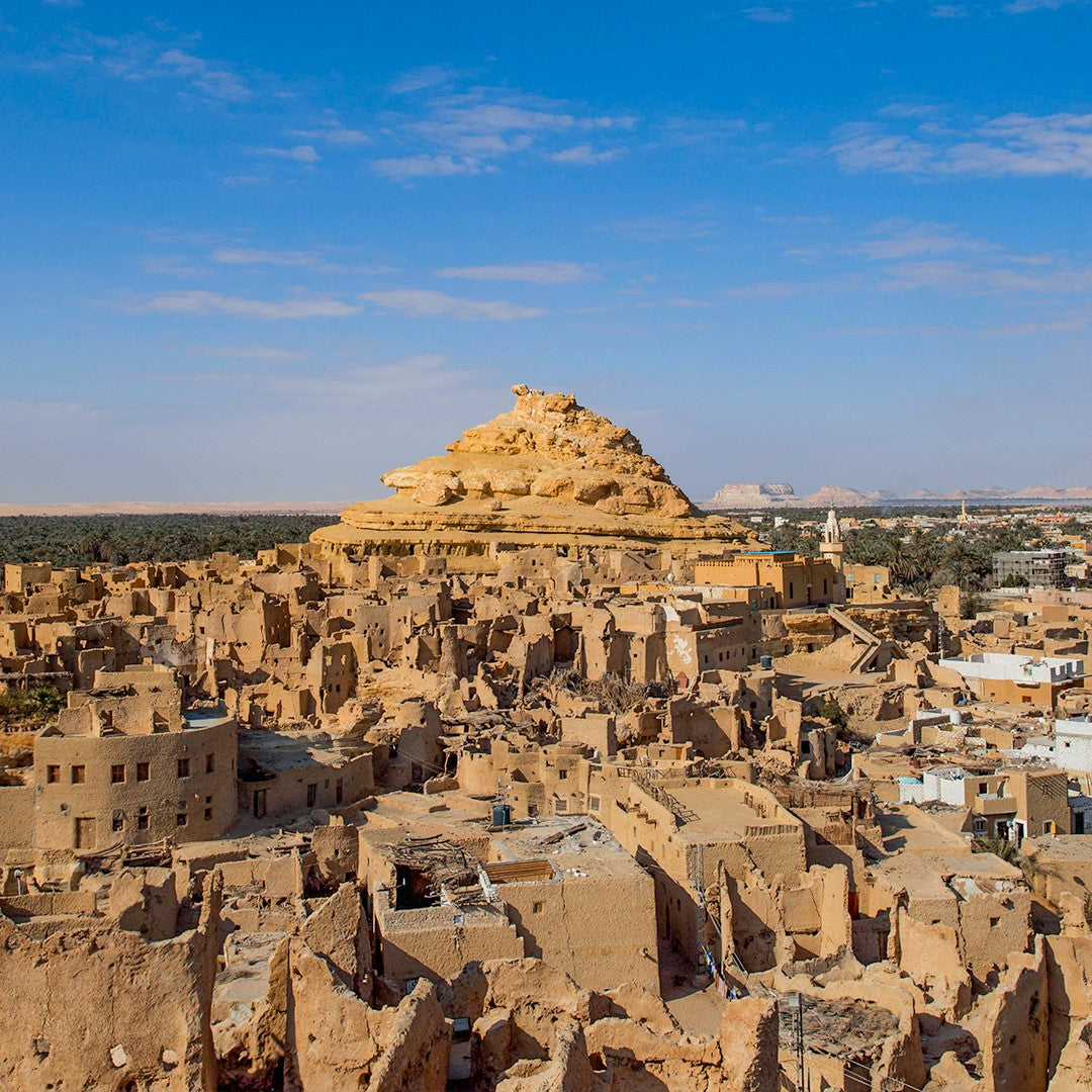 Siwa Oasis New Year