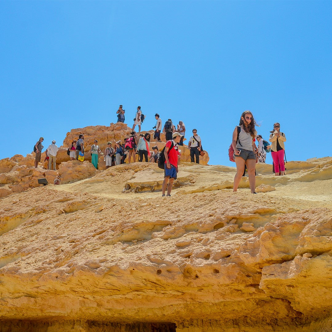 Siwa Oasis New Year