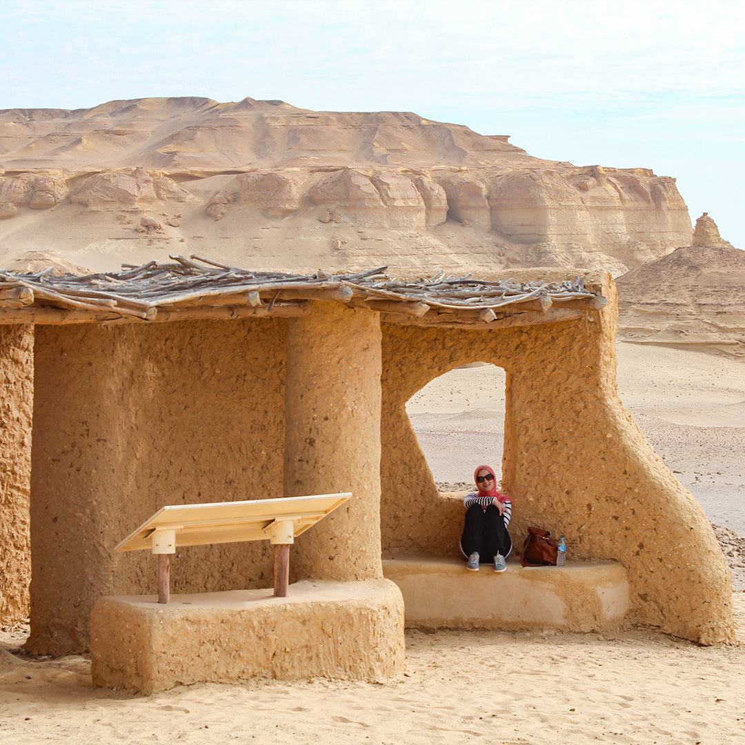 Wadi Al Hitan Day Tour