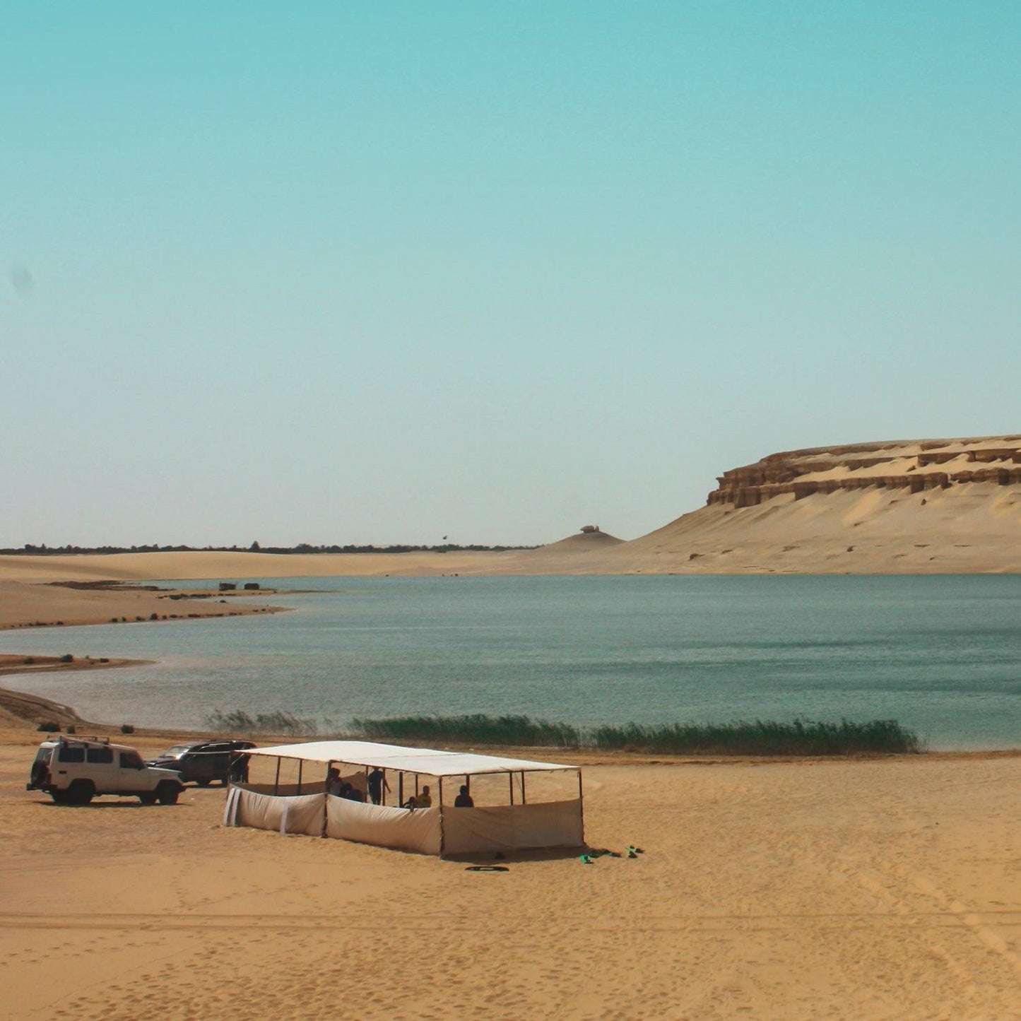 Bahariya, Djara, and Fayoum New Year
