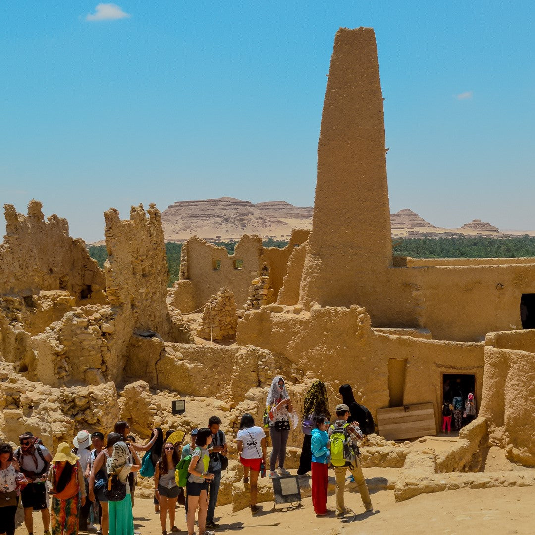 Siwa Oasis New Year