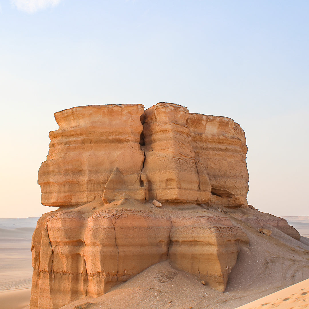 Wadi Al Hitan Day Tour