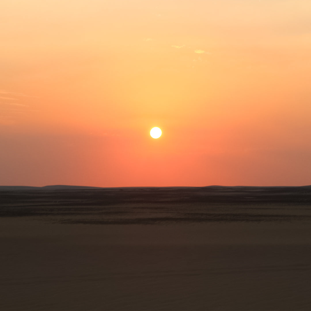 Wadi Al Hitan Day Tour