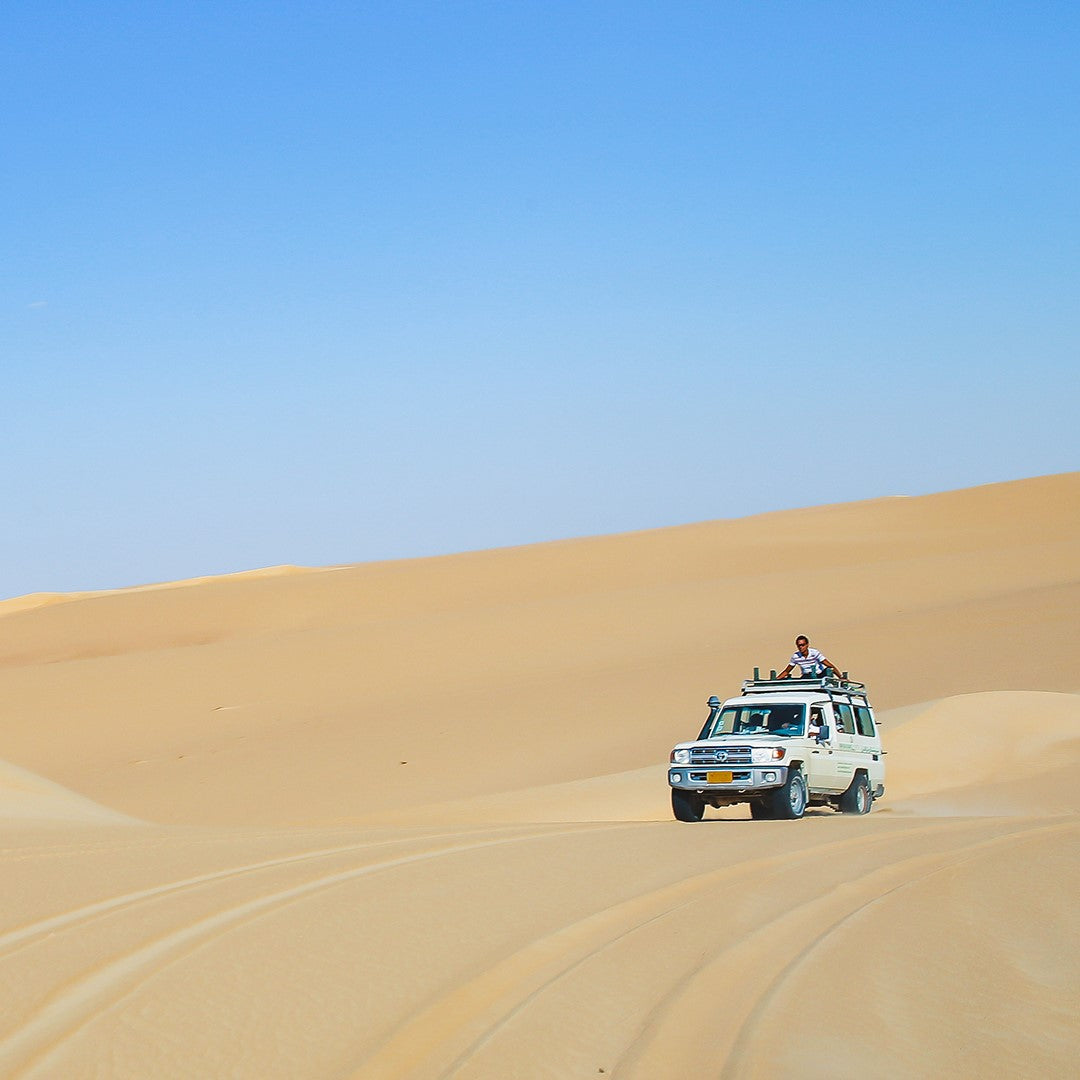 Siwa Oasis New Year