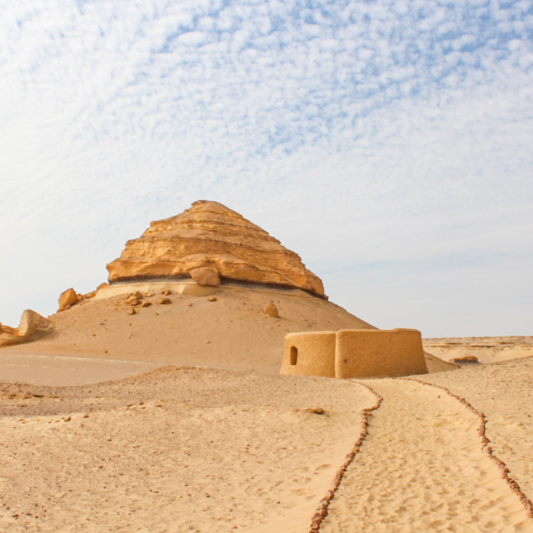 Wadi Al Hitan Day Tour