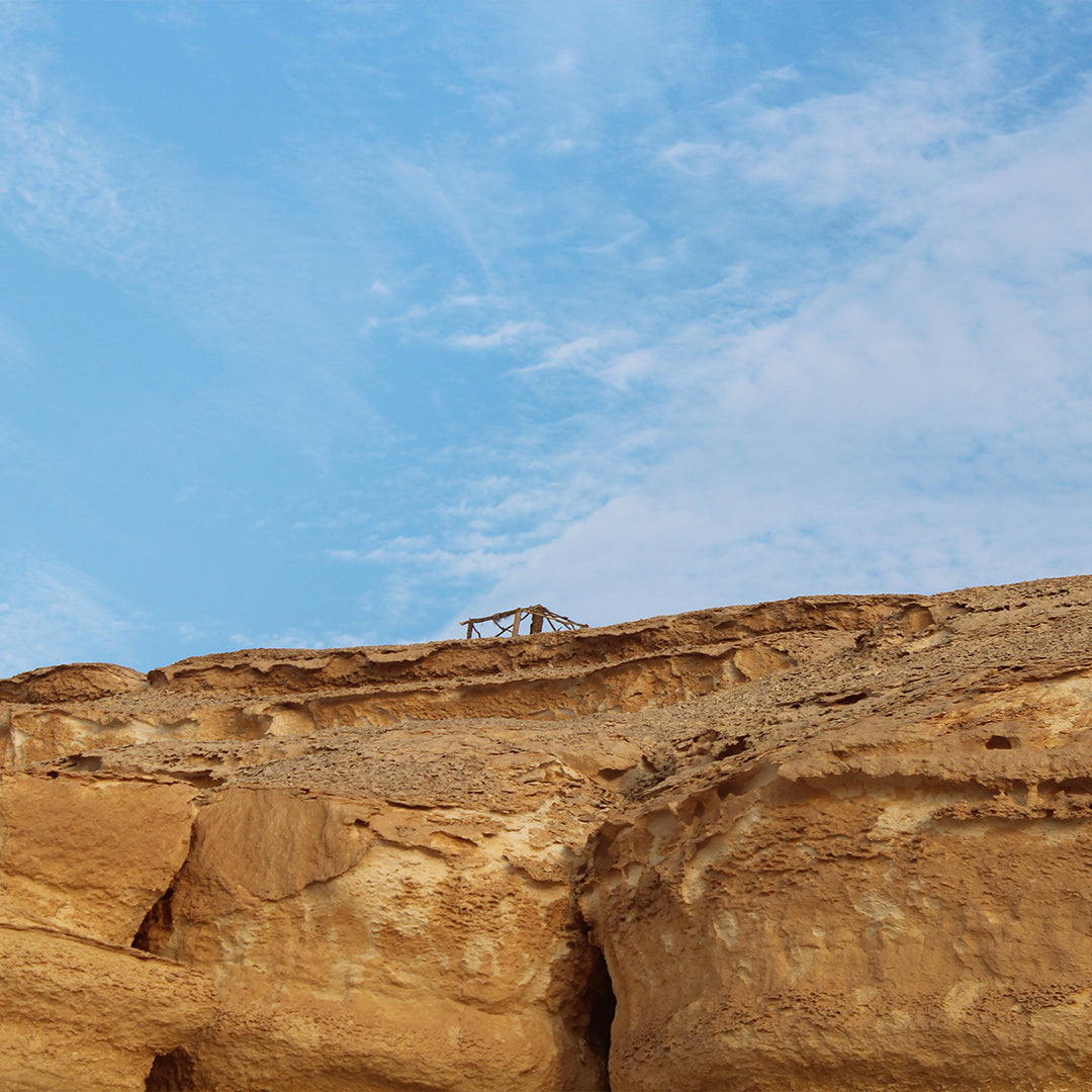 Wadi Al Hitan Day Tour