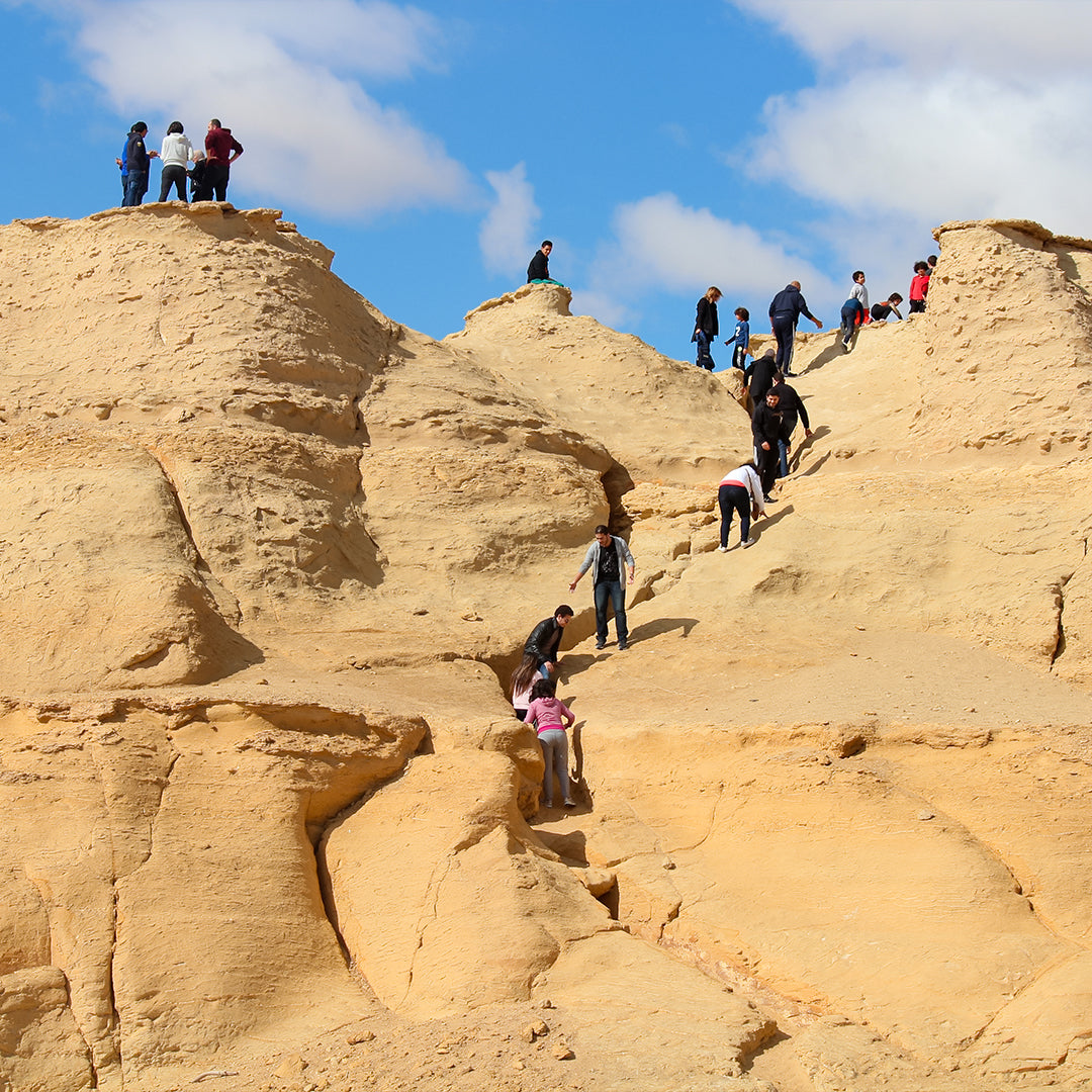 Wadi Al Hitan Day Tour