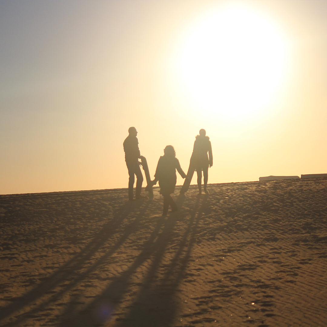 Wadi Al Hitan Day Tour