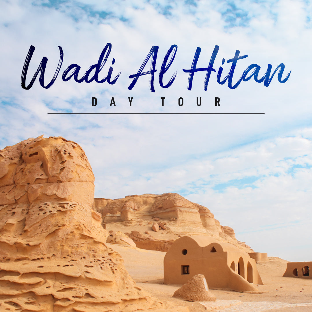 Wadi Al Hitan Day Tour