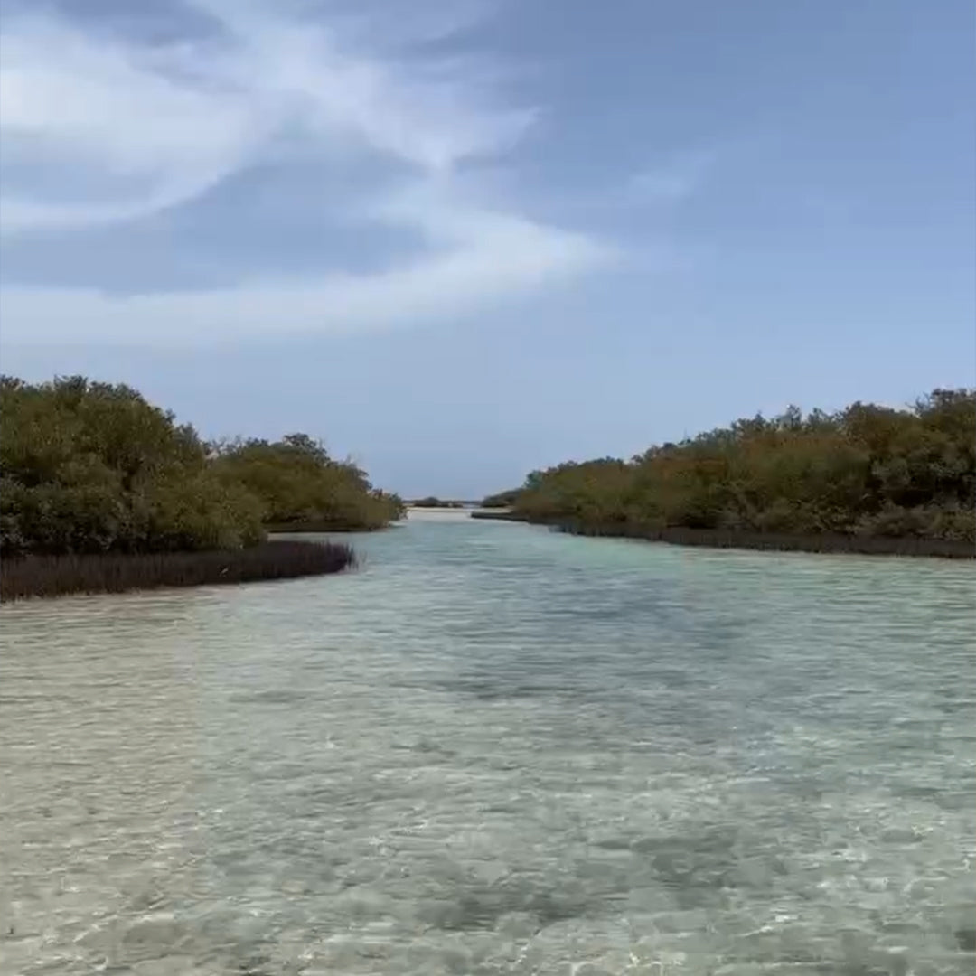 Ras Mohamed Adventure