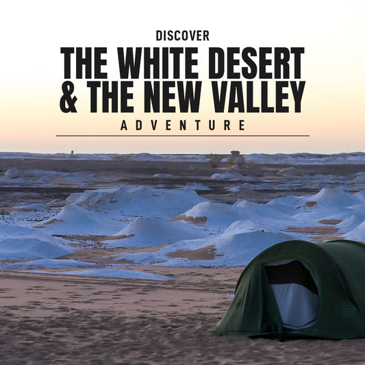 Discover The White Desert & The New Valley