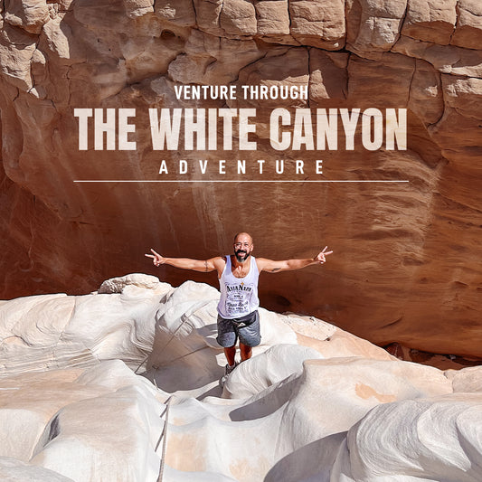 Venture Through The White Canyon
