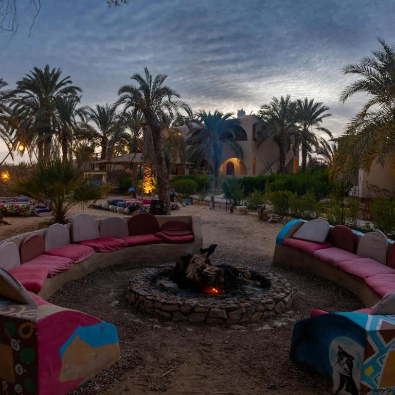 Siwa Oasis Adventure