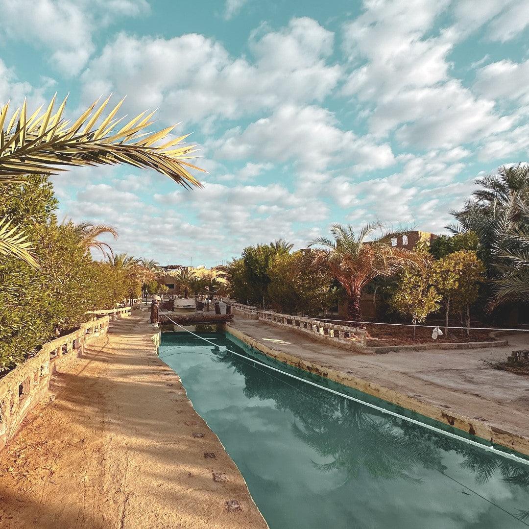 Siwa Oasis Adventure - Dune Raider